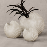Spirula Vase Set (Set of 3)