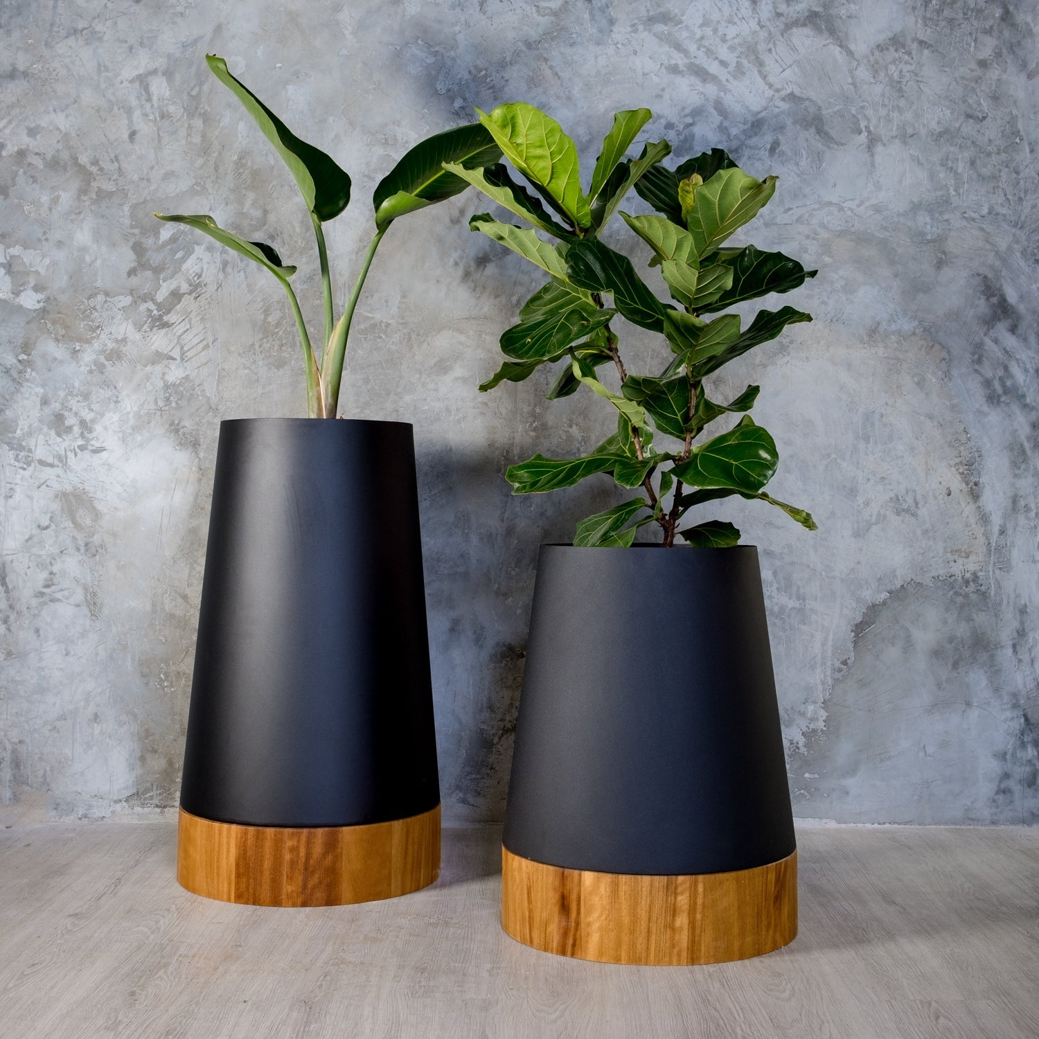 The Conica | Iroko Timber Base