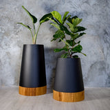 The Conica | Iroko Timber Base