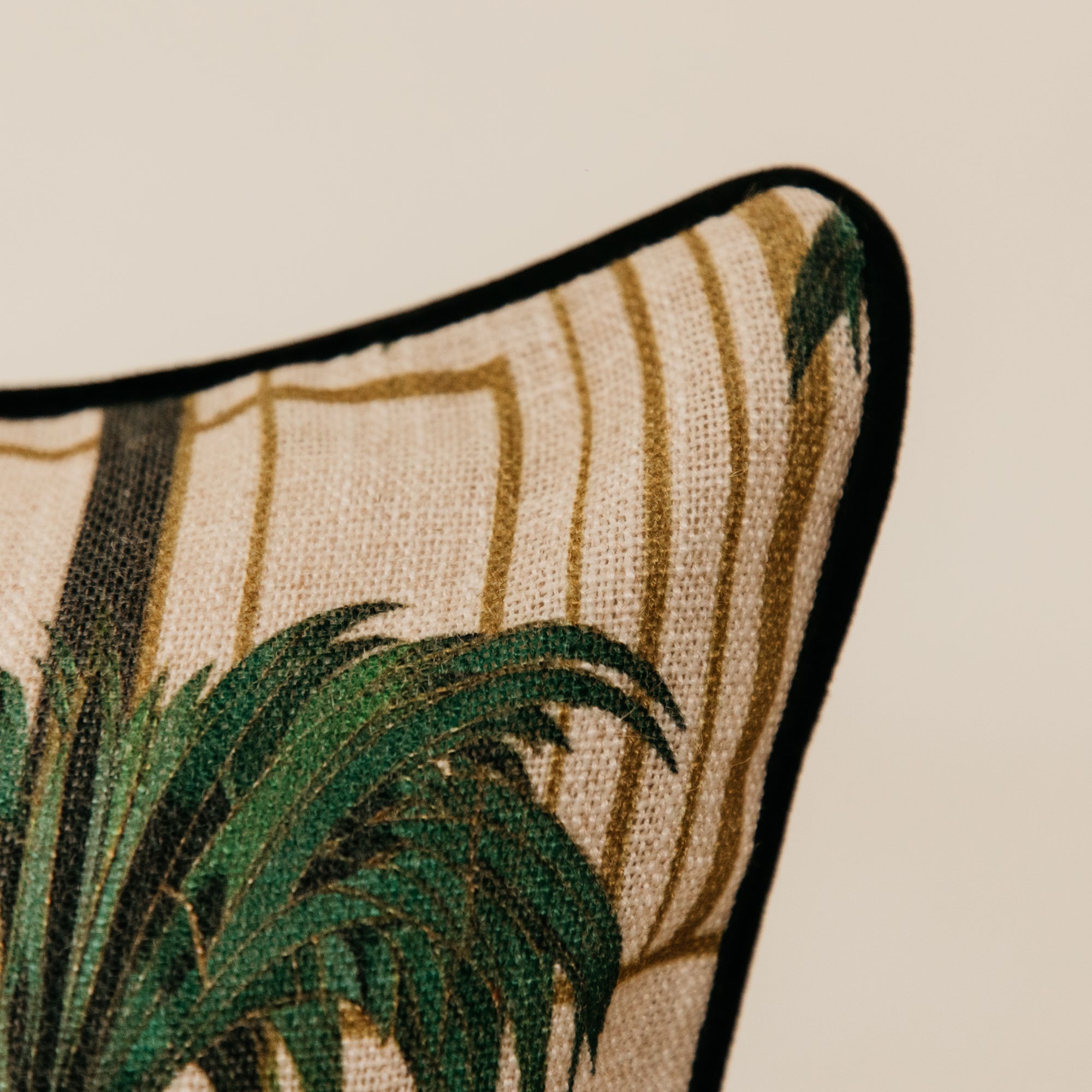 Tropical Plaza Linear Scatter