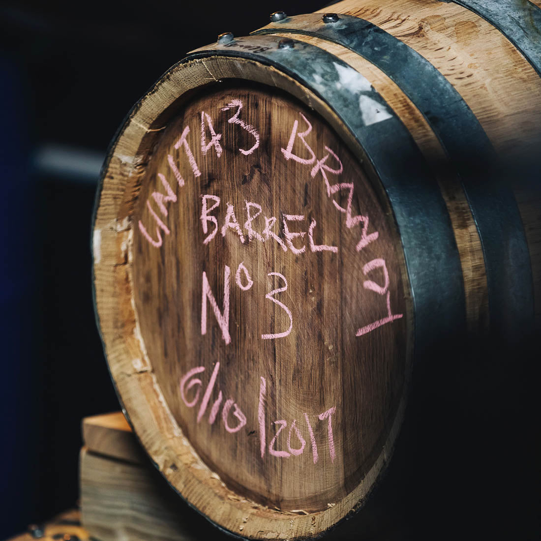 Unit43 Brandy 5 Year Old