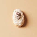 Pecan Nut Shortbread Biscuits Refill (500g)