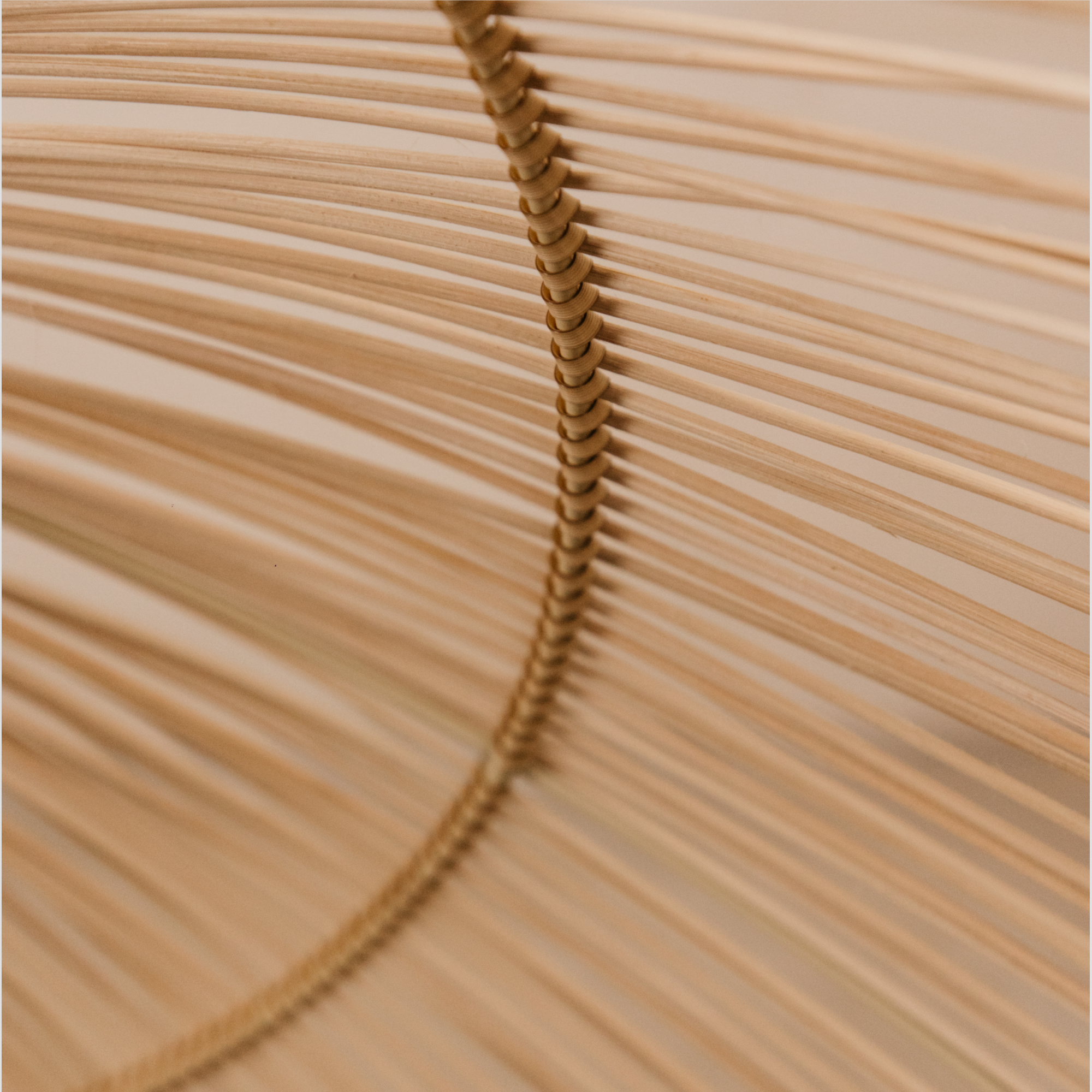 Verde Cane Pendant