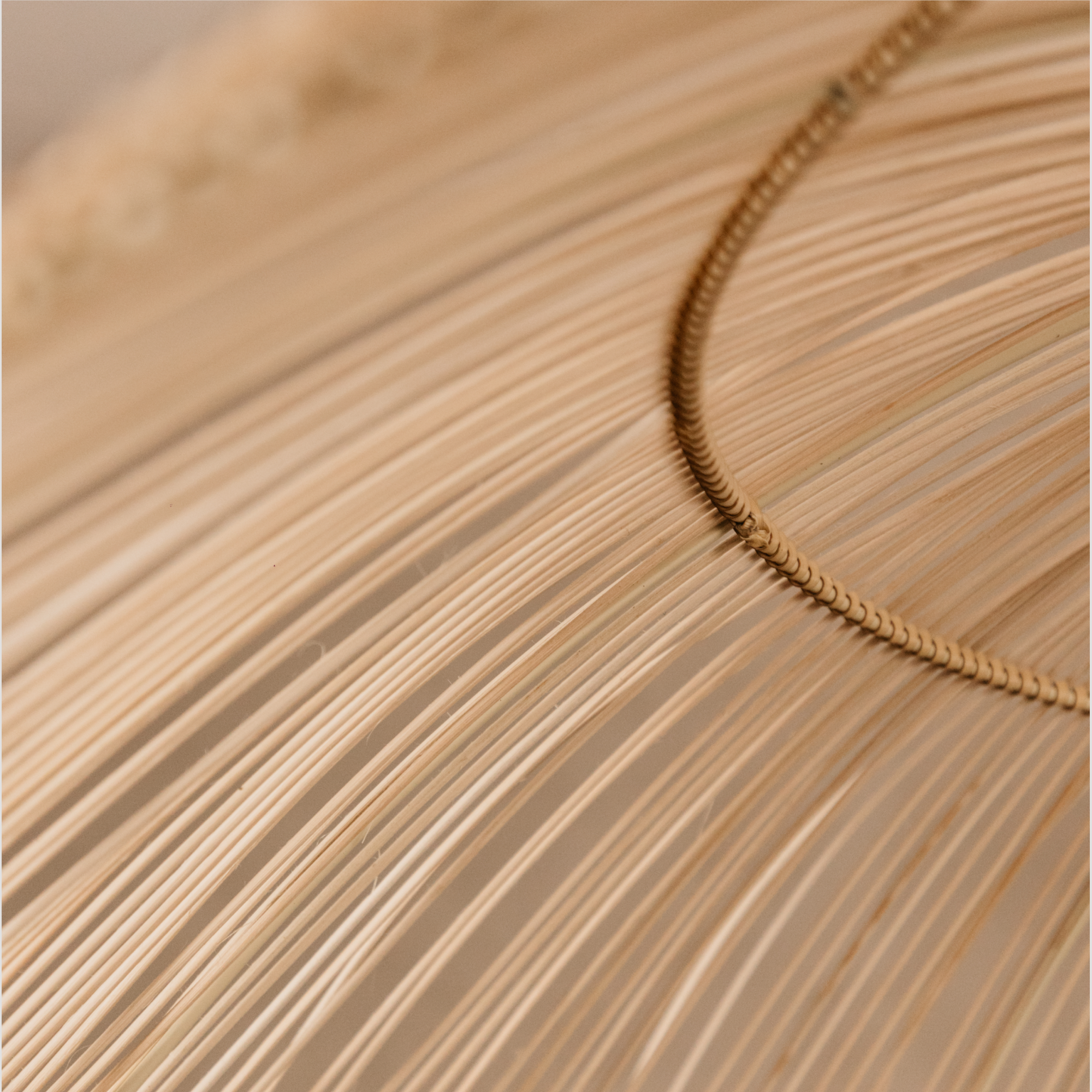 Verde Cane Pendant