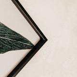 Calla Wall Art