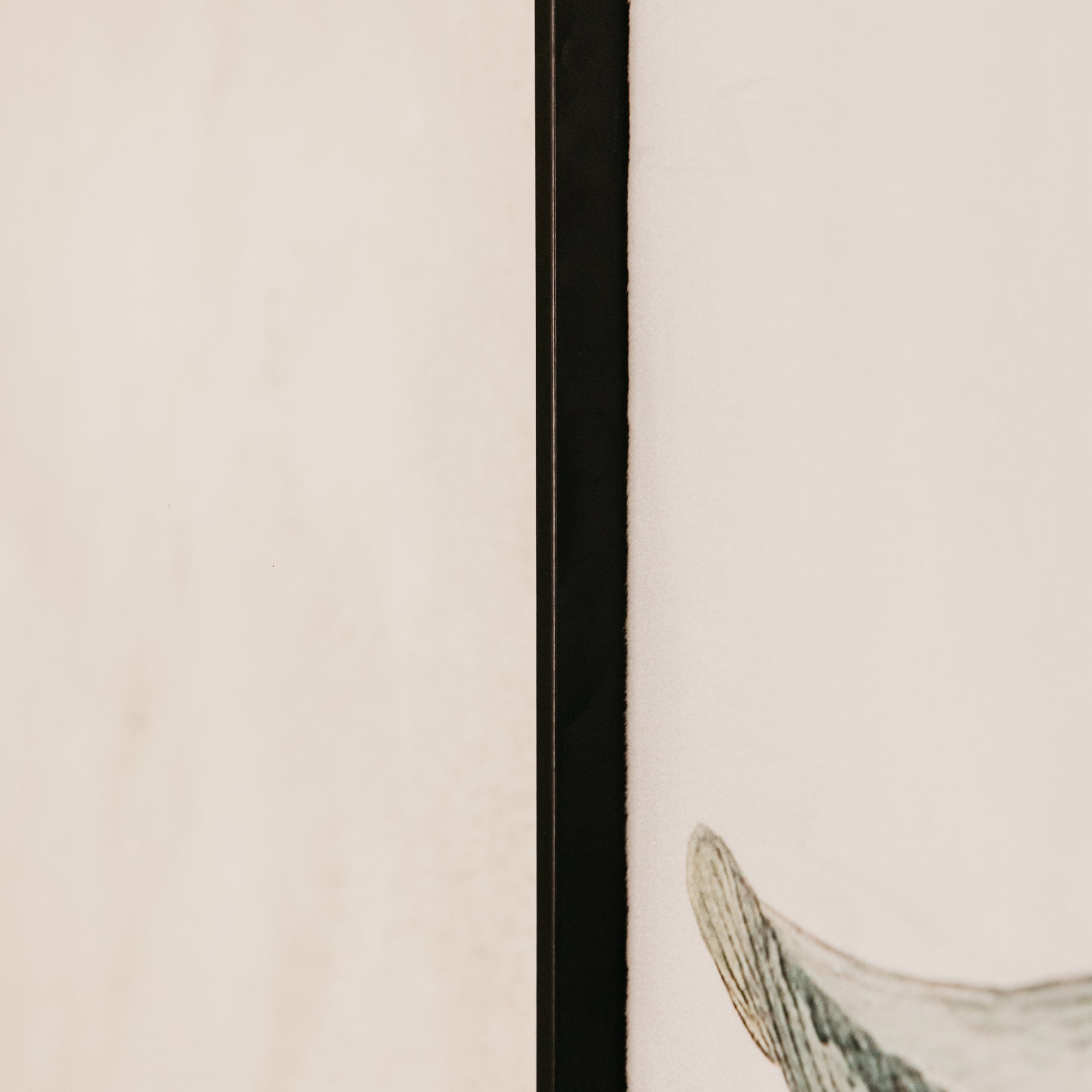 Calla Wall Art