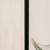 Calla Wall Art