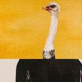 Ostrich Odyssey Wall Art