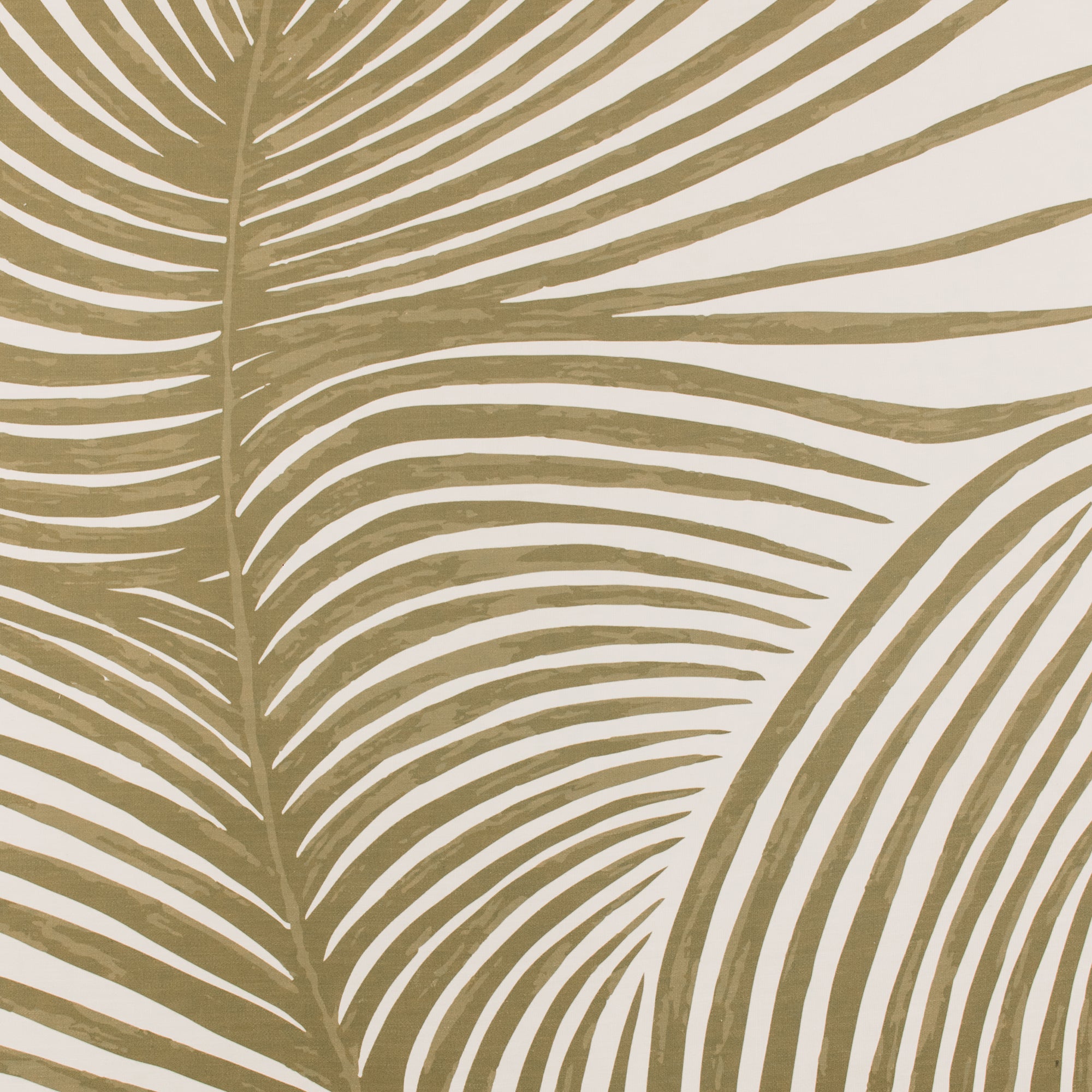Sago Palm Wall Art