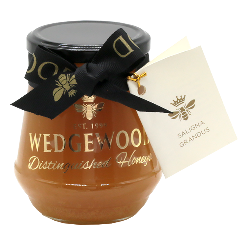 Wedgewood Distinguished Saligna Grandus Honey - Single Tree Species 500g