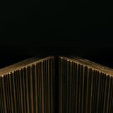Zambezi Sideboard – Black & Gold