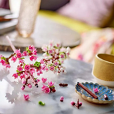 LEGO® Botanicals Cherry Blossoms