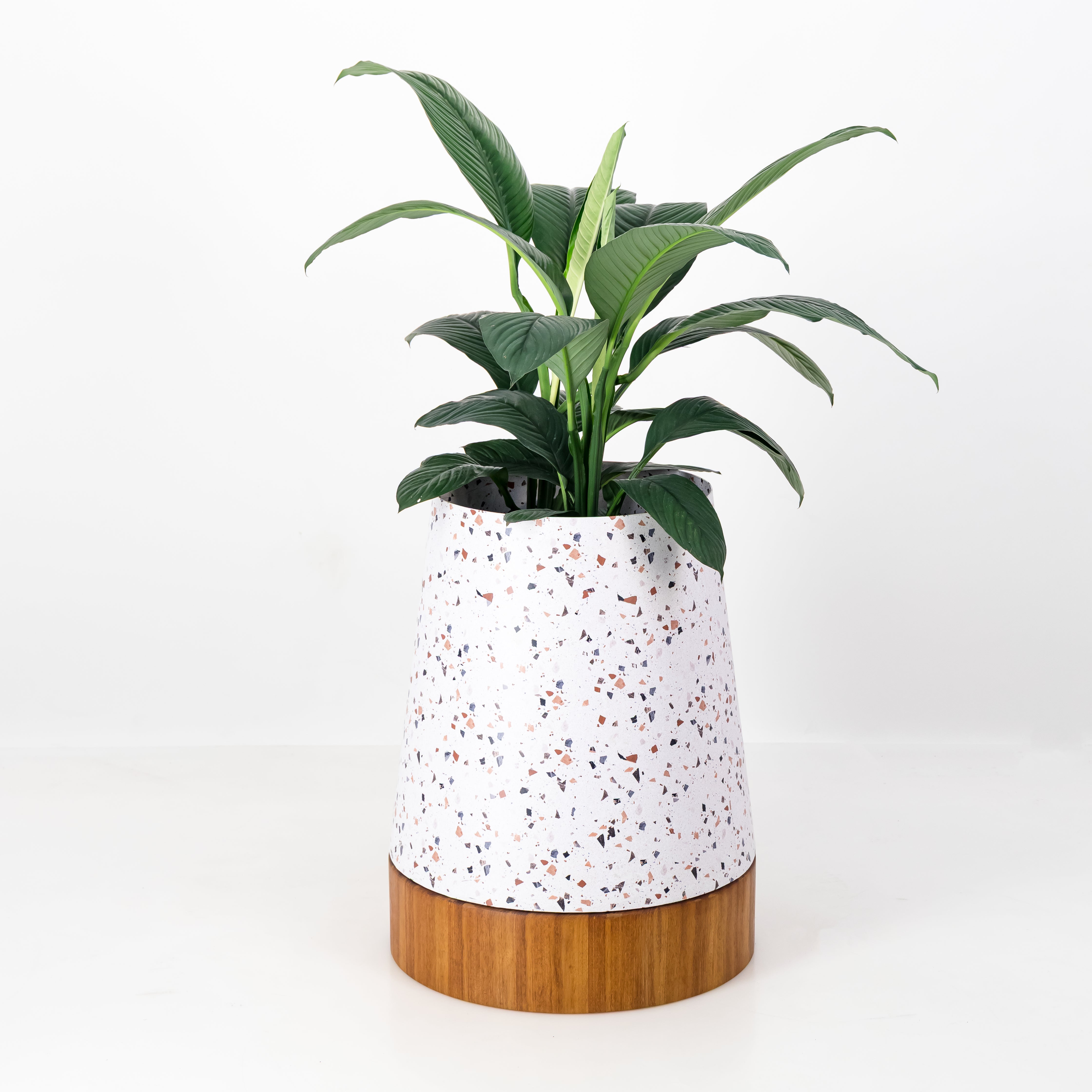 The Conica | Iroko Timber Base