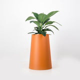 The Conica | Basic