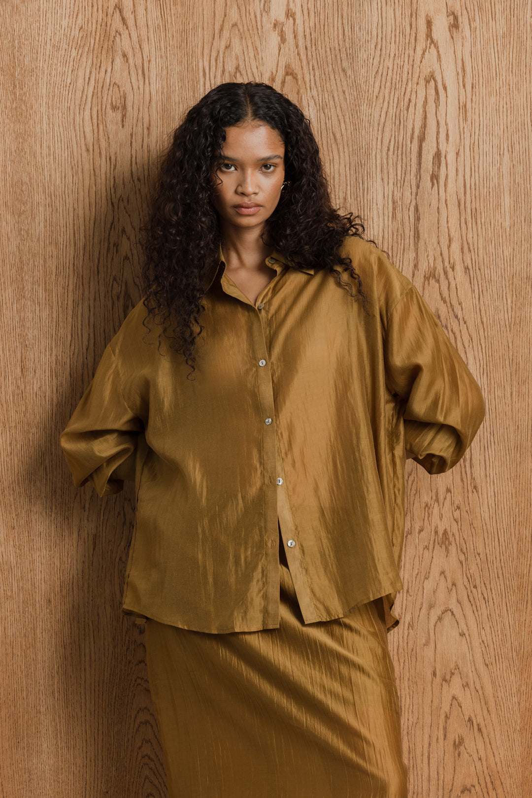 Taylor Sheer Shirt