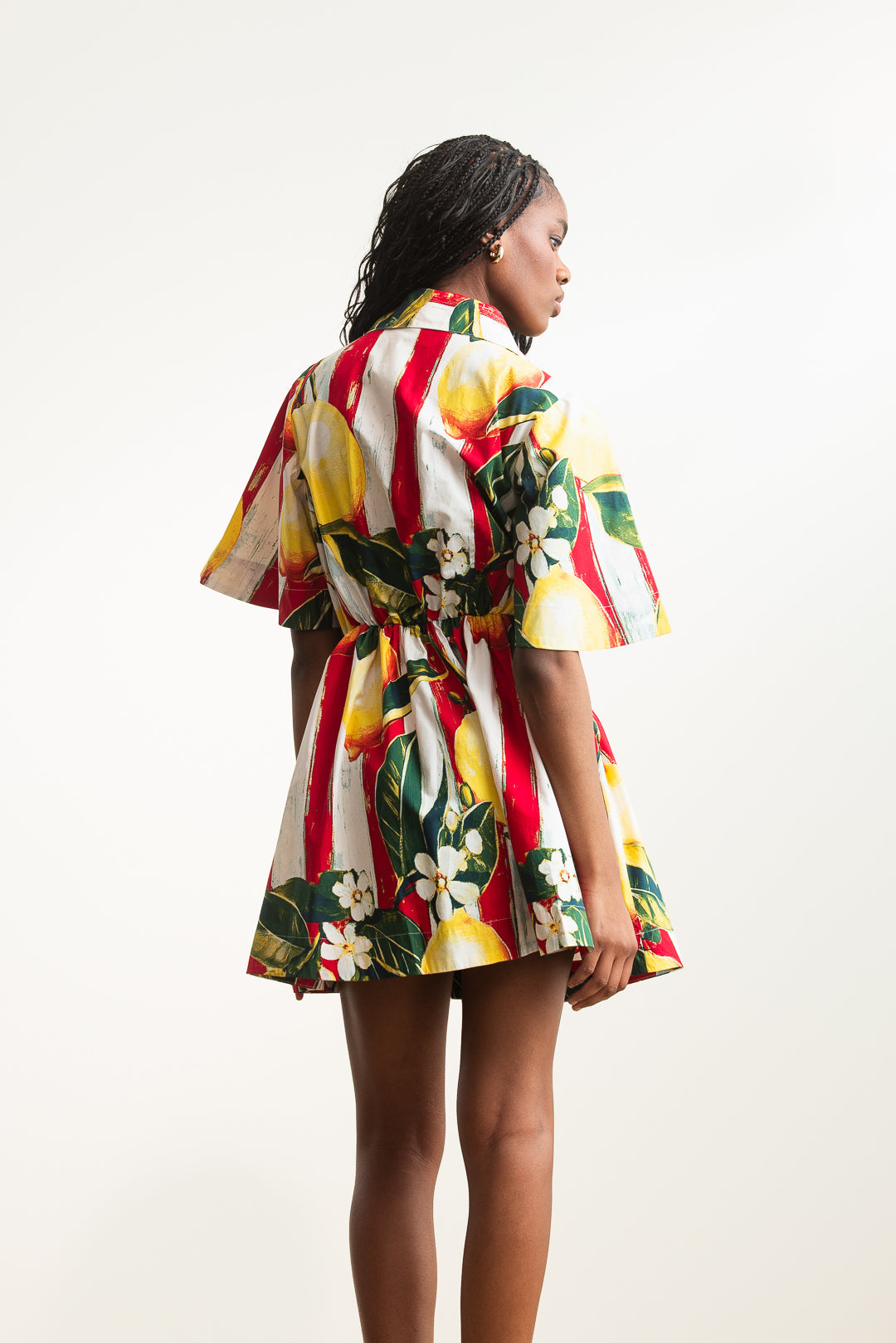 Anna Shirt Dress