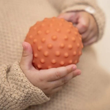 Little Dutch Farm Sensory Balls