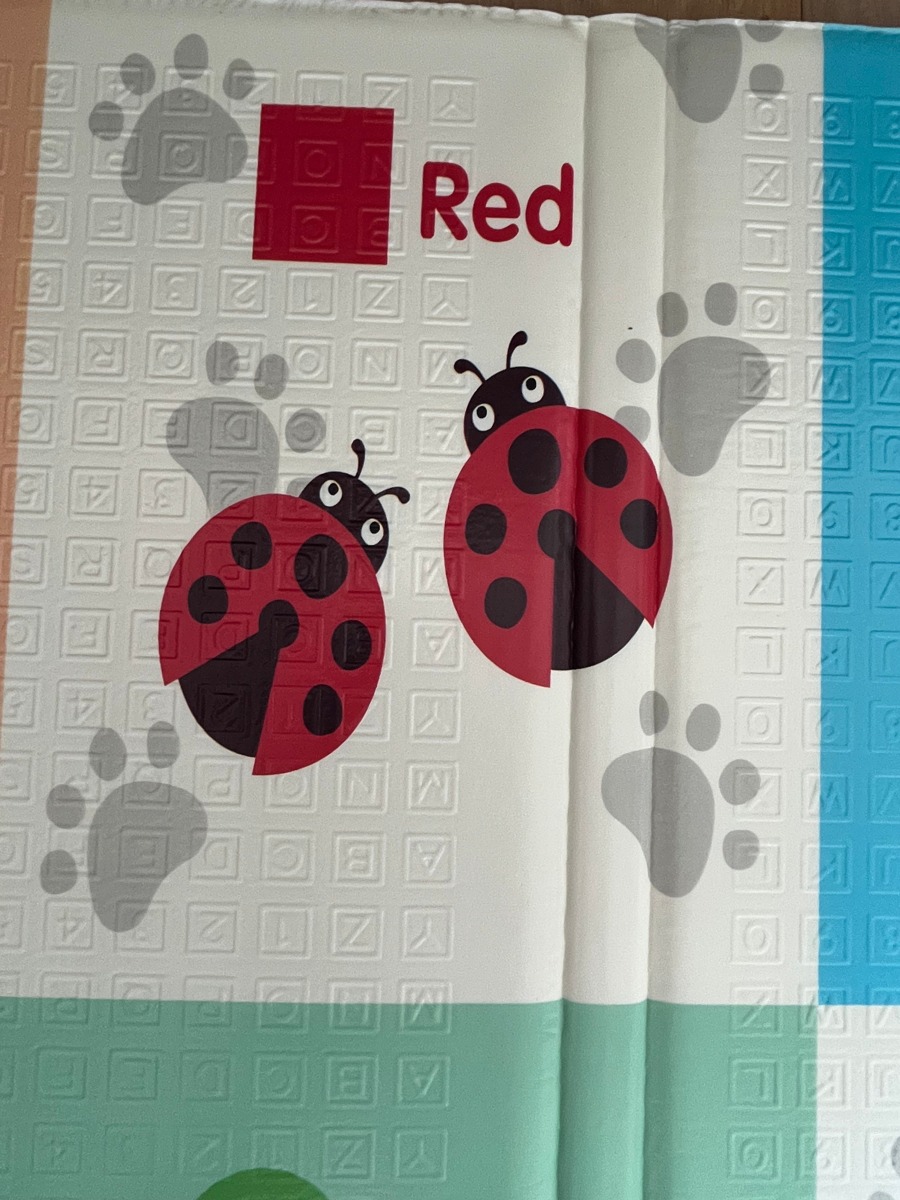 Tayla Jean Friendly Animals & Educational Folding Play Mat