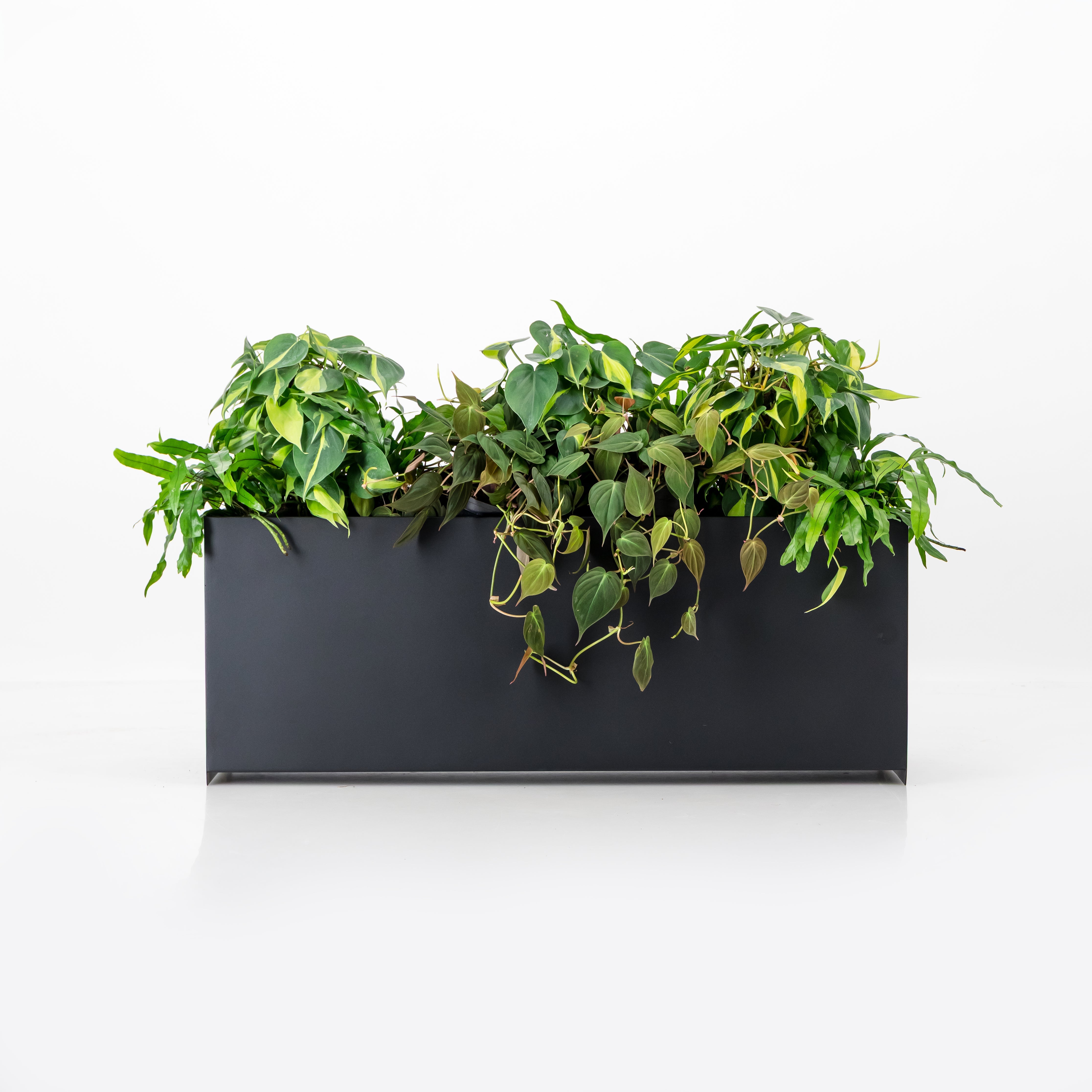 Loft Planter Box