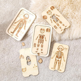 Educational Four Layer Body Chart