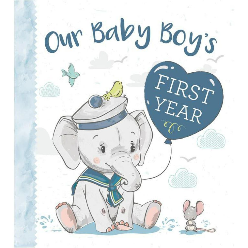 Our Baby Boys First Year
