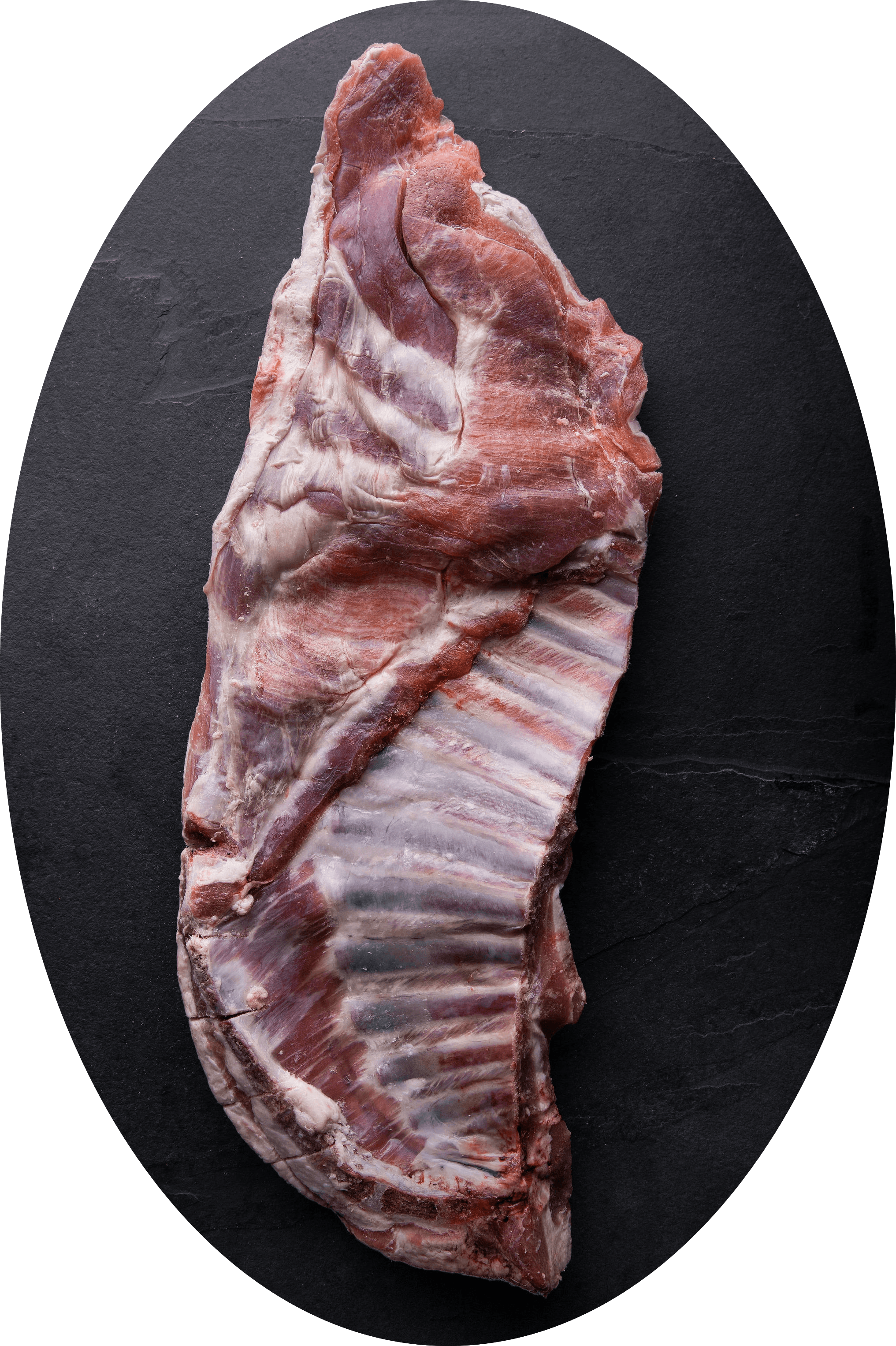 lamb rib
