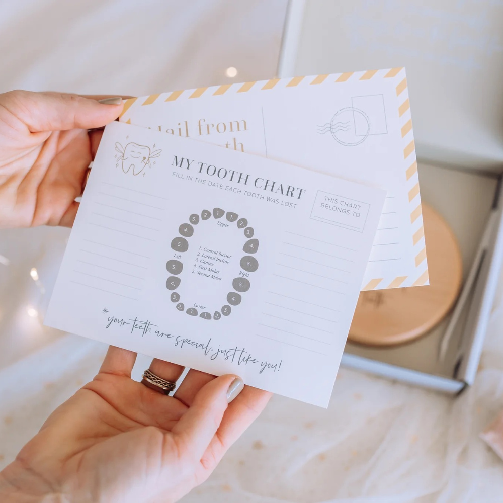 Stellarize Tooth Fairy Kit